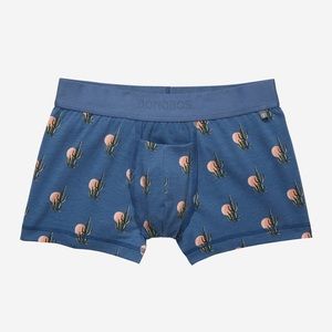 Bonobos Sunset Cactus Briefs